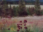 Šumavské květy ,70x50 cm olej,pastel 
